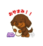 ミニチュアダックス RAM のスタンプ（個別スタンプ：24）