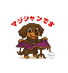 ミニチュアダックス RAM のスタンプ（個別スタンプ：31）