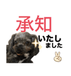 愛溢れる！ヨーキーとパピヨン×プードル（個別スタンプ：24）