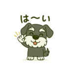 シュナウザーの日常。第二弾。（個別スタンプ：7）