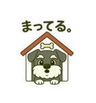 シュナウザーの日常。第二弾。（個別スタンプ：11）