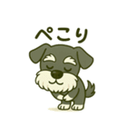 シュナウザーの日常。第二弾。（個別スタンプ：19）