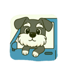 シュナウザーの日常。第二弾。（個別スタンプ：30）