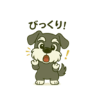シュナウザーの日常。第二弾。（個別スタンプ：37）