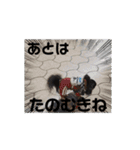 殿様わん仔 土佐弁集（個別スタンプ：2）
