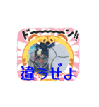 殿様わん仔 土佐弁集（個別スタンプ：7）