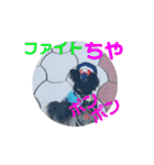 殿様わん仔 土佐弁集（個別スタンプ：9）