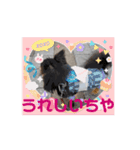 殿様わん仔 土佐弁集（個別スタンプ：11）