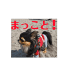 殿様わん仔 土佐弁集（個別スタンプ：13）