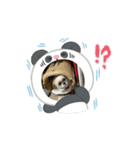 シーズースタンプ m8（個別スタンプ：6）