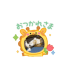 シーズースタンプ m8（個別スタンプ：7）