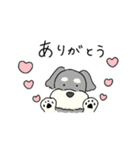 ゆるかわ♡シュナウザースタンプ（個別スタンプ：4）