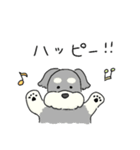 ゆるかわ♡シュナウザースタンプ（個別スタンプ：5）