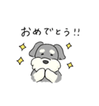 ゆるかわ♡シュナウザースタンプ（個別スタンプ：7）