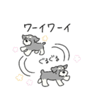 ゆるかわ♡シュナウザースタンプ（個別スタンプ：9）