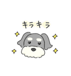 ゆるかわ♡シュナウザースタンプ（個別スタンプ：11）