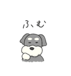 ゆるかわ♡シュナウザースタンプ（個別スタンプ：20）