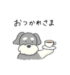 ゆるかわ♡シュナウザースタンプ（個別スタンプ：21）