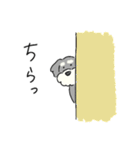 ゆるかわ♡シュナウザースタンプ（個別スタンプ：24）