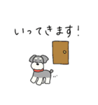 ゆるかわ♡シュナウザースタンプ（個別スタンプ：25）