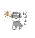 ゆるかわ♡シュナウザースタンプ（個別スタンプ：31）