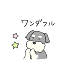ゆるかわ♡シュナウザースタンプ（個別スタンプ：34）