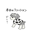 ゆるかわ♡シュナウザースタンプ（個別スタンプ：38）