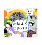 競馬女子シランケドちゃん（夏）（個別スタンプ：1）