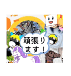 競馬女子シランケドちゃん（夏）（個別スタンプ：23）