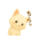 今日もなかよしあきとくじら（個別スタンプ：33）