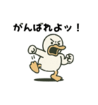 ガーガーアヒル先輩（個別スタンプ：3）