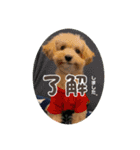 Minchopilan 9（個別スタンプ：6）