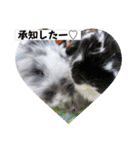 Minchopilan 9（個別スタンプ：8）