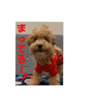 Minchopilan 9（個別スタンプ：16）