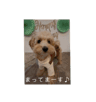 Minchopilan 9（個別スタンプ：17）