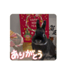 Minchopilan 9（個別スタンプ：34）