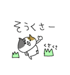 福岡大好きネコネーコ（個別スタンプ：13）
