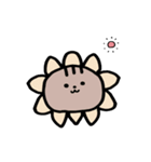 夏だよ全員集合！猫と亀のゆるスタンプ（個別スタンプ：20）