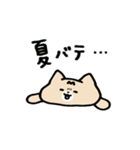 夏だよ全員集合！猫と亀のゆるスタンプ（個別スタンプ：26）