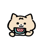 夏だよ全員集合！猫と亀のゆるスタンプ（個別スタンプ：31）