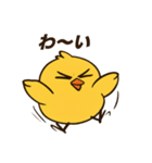 ふてぴよ（個別スタンプ：30）