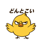 ふてぴよ（個別スタンプ：36）
