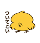 ふてぴよ（個別スタンプ：40）