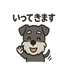 ごきげんシュナ（個別スタンプ：1）