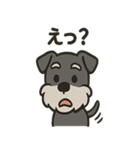 ごきげんシュナ（個別スタンプ：2）