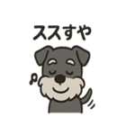 ごきげんシュナ（個別スタンプ：6）