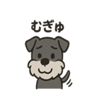 ごきげんシュナ（個別スタンプ：7）