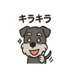 ごきげんシュナ（個別スタンプ：9）
