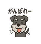 ごきげんシュナ（個別スタンプ：10）