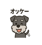 ごきげんシュナ（個別スタンプ：12）